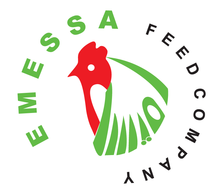 Emsa